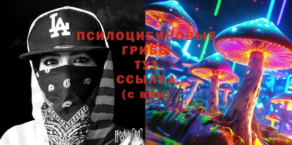 мяу мяу мука Белокуриха
