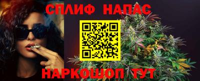 гидра Будённовск
