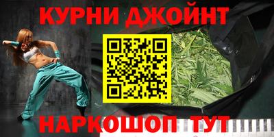 гидра Будённовск