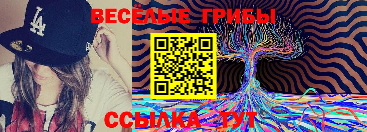 Псилоцибиновые грибы ЛСД Гай