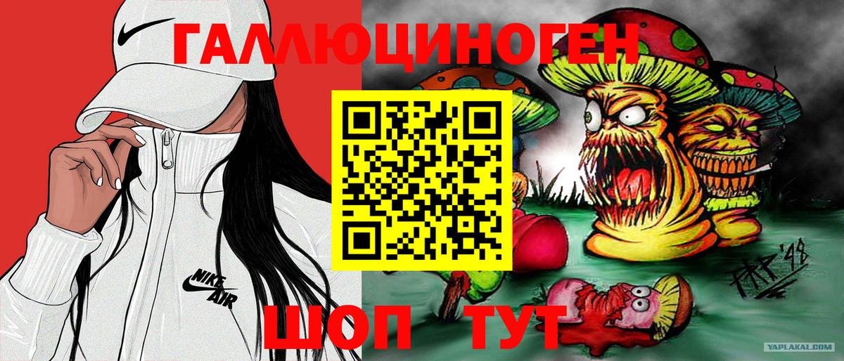 как найти   Псилоцибиновые грибы Psilocybine cubensis  Вход с VPN  Гай 