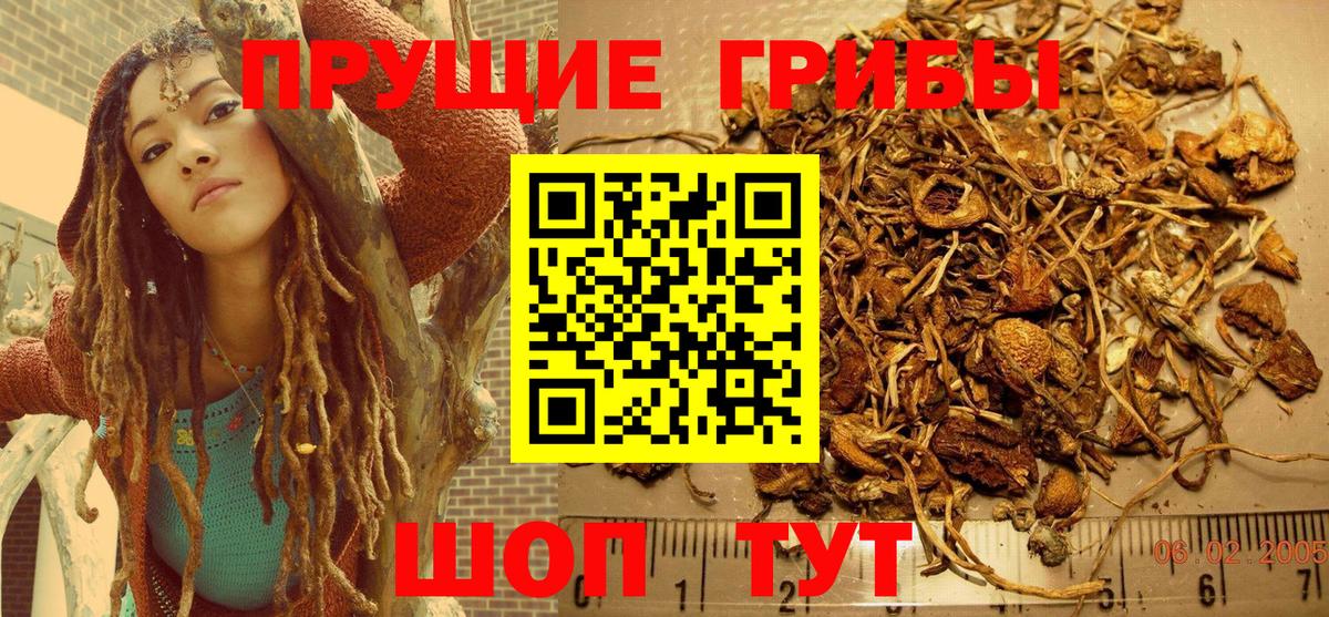 Галлюциногенные грибы мухоморы  Гай 